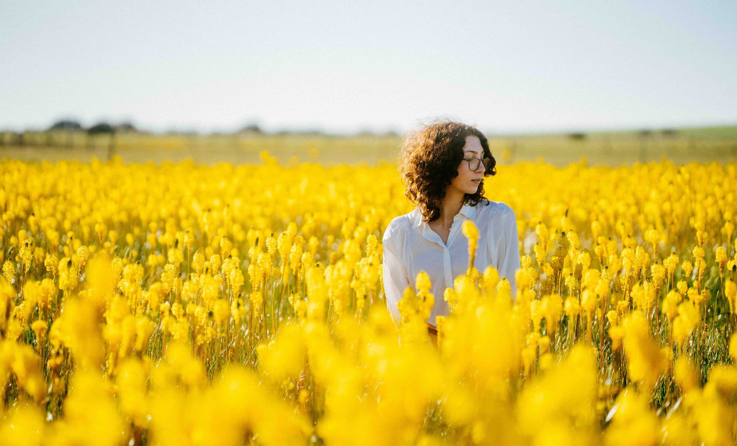 A person standing in a field of yellow spring flowers at Nieuwoudtville