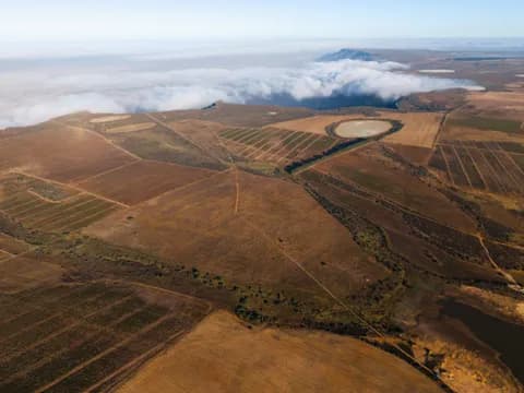 Aerial view of planted blocks and a dam, with cloud turning to mist along the top of the mountain